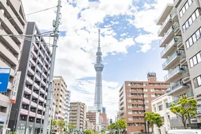 Cure Skytree by Tranova - Image 3