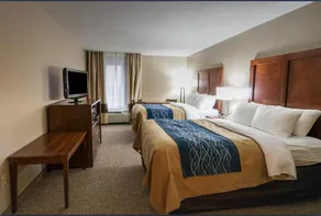 Bristol Arcadia Inn - Image 4