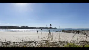 Newth Place, Surf Beach - Image 4