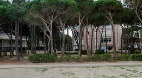 Studio les pieds dans l'eau Argeles Sur Mer - Image 5