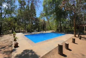 Tiger Trails Resort - Image 2