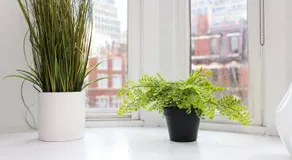 Stylish Newbury Street Studio, #2 - Image 5