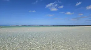 Serenity at Island Beach - Image 4