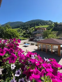 Pension Wirt am Bach - Image 2