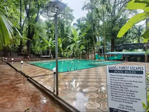 Dandeli Forest Escapes - Image 2