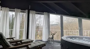 Wald Villa Schönau - Image 3
