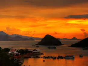 Exotic Komodo Hotel - Image 5