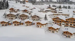 Filzsteinresort Chalets - Chalet 235 - Image 3