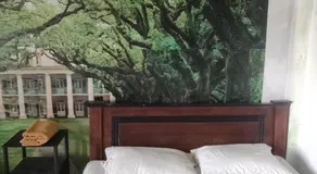 Easy guest apartment - Image 2