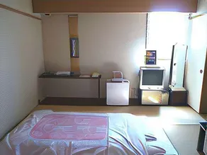 Hotel Nanaehama - Image 5
