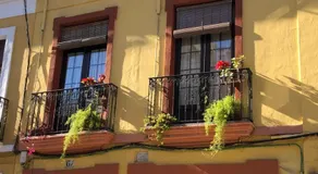 Casa Teo - Image 5