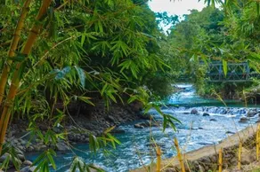 Puntabelle nature resort and farm adventure - Image 4