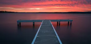 Squid's Ink Motel - Image 4