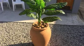 Ruros Guest House - Image 4