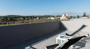 Mimosa - Image 3