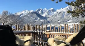 Chalet Gletscherblick Stubai - Image 4