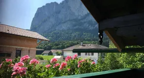 Ferienwohnung Meindl Elfi An der Drachenwand 44 - Image 5