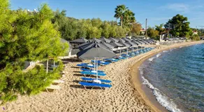 Paradisos Holiday - Image 4