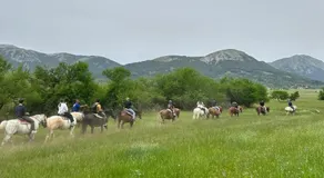 La Mansardina - Image 5