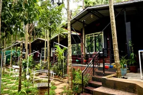 Dandeli redstone cottages - Image 5