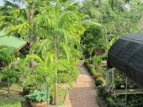 Orchid Hibiscus Guest House - Image 2