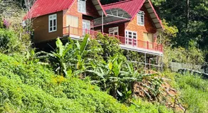Lưng Đồi Homestay - Image 4
