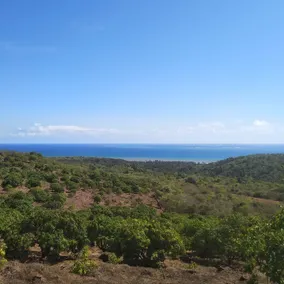 Bhogwey Heights Resort -Sindhudurg - Image 3