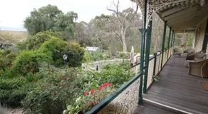 Palm House - Image 4