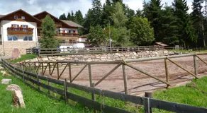 Reiterhof Edelweiss - Image 5