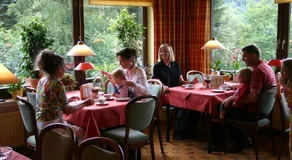 Pension Waldesruh - Image 4