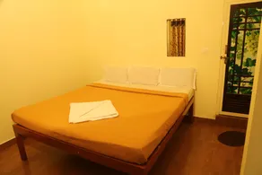 JUNGLE PARADISE FARM & GUEST HOUSE - Image 2
