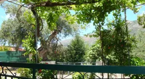 Grapes and Roses - Image 4