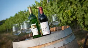 Weinschlößchen im Weingut Roos - Image 5