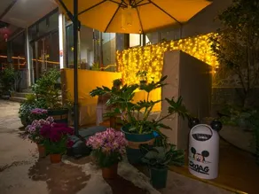 Caohaiqing B&B Hall - Image 5
