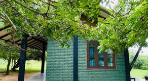 Yala Ying Yang Hostel & Camping - Image 3