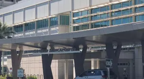 WHOLE Family - WholeVille - Image 2