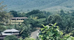7FORT HOMESTAY Athirappilly - Image 2