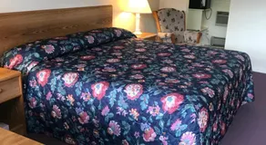 Four Seasons Motor Inn - Image 2