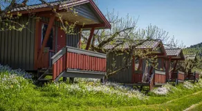 Pluscamp Sandvik - Image 3