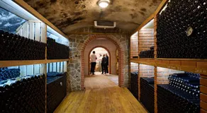 Eco Wine House Kaloh - Image 5