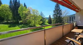 Ferienwohnung Vogelnest mit weitem Blick über den Schwarzwald - Image 2