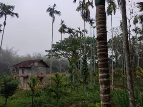 Nightingale Villa Wayanad - Image 5