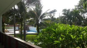 Tropical Contemporary Suites - Image 5