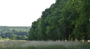 Château de Chavigny - Image 2