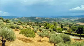 Cadi Giulia - Image 5