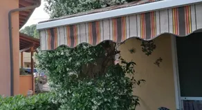 Le palme - Image 5