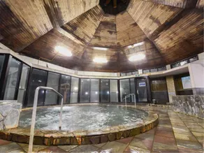 Sagara Onsen Sayuri - Image 5