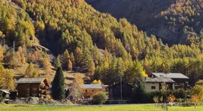 Studio Haus Castello - Image 4