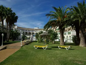 ALEGRIA Pino Alto - Image 3