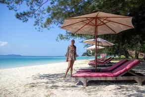 Ara Dinawan Island Resort - Image 3